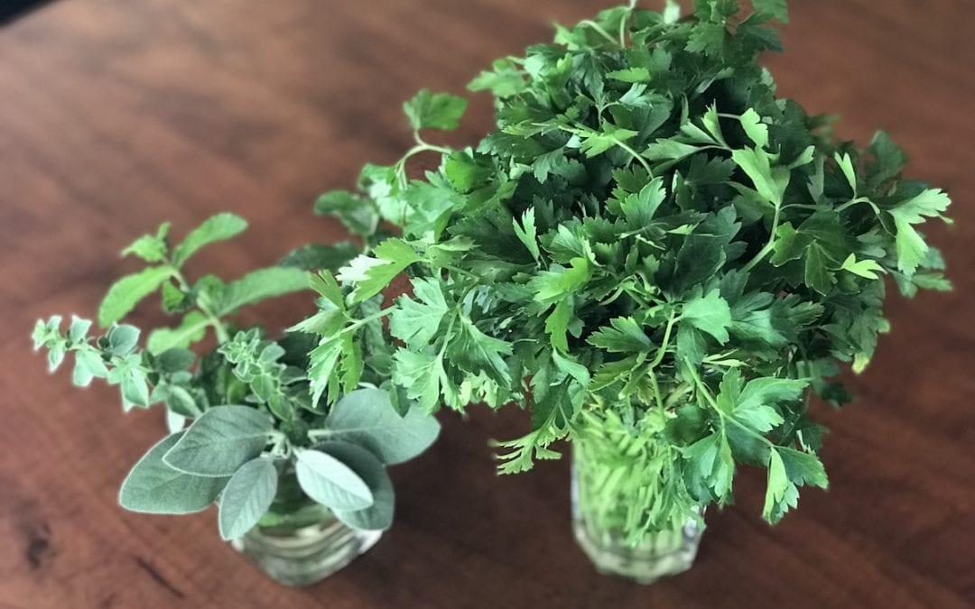 How To Store Fresh Herbs