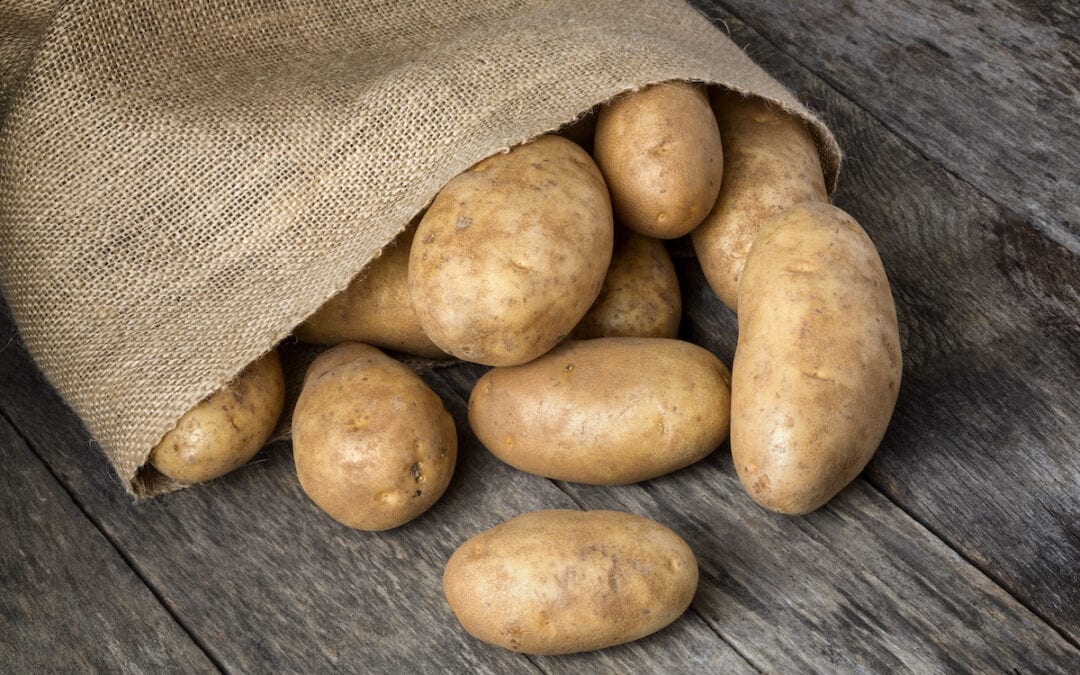 Potatoes and the Irish Famine