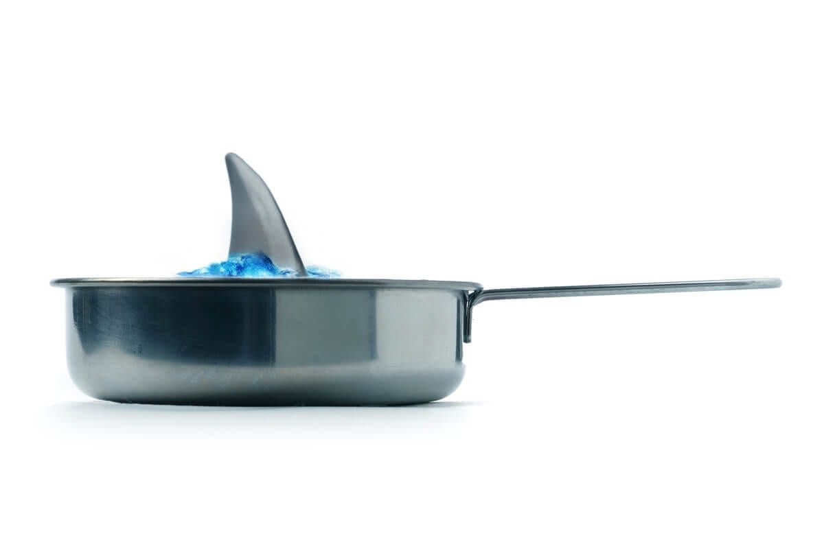 A silver skillet with water in it and with a shark fin visible just above the rim of the skillet.