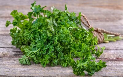 Tabbouleh